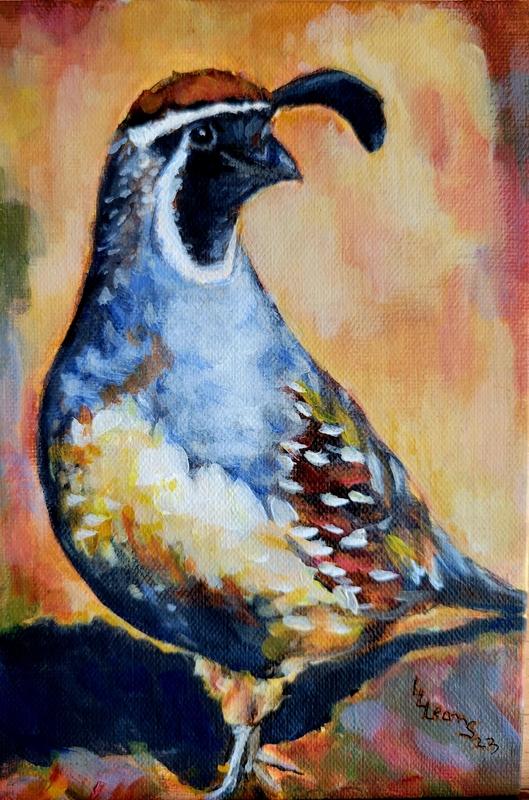 Quail Watch